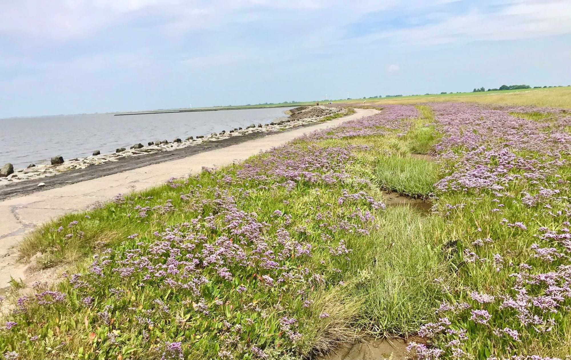 Haus Meerauszeit - Erholung An Der Nordsee Schweiburg Zewnętrze zdjęcie